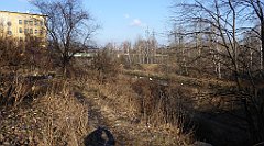 0324_TZ60_P1080564_cr