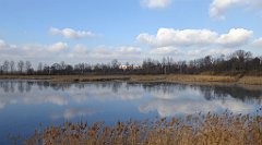 0384_TZ60_P1080623_cr