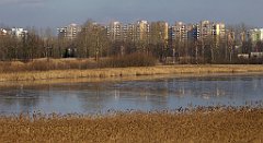 0402_TZ60_P1080645_cr