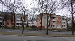 022_TZ60_P1080782_cr