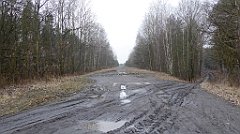 039_TZ60_P1080799_cr