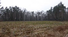 048_TZ60_P1080808_cr