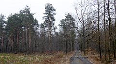 049_TZ60_P1080809_cr