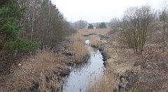 061_TZ60_P1080821_cr