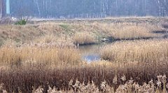 064_TZ60_P1080824_cr