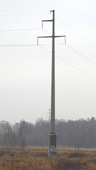 066_TZ60_P1080826_cr