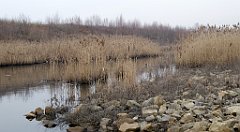 152_TZ60_P1080890_cr