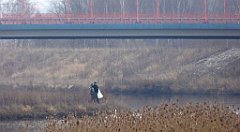 162_TZ60_P1080895_cr