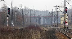 183_TZ60_P1080898_cr