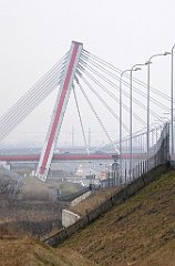 203_TZ60_P1080902_cr