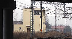 254_TZ60_P1080935_cr