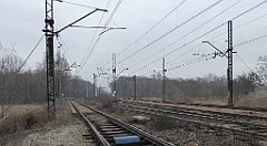 255_TZ60_P1080936_cr