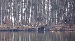 291_TZ60_P1080947_cr