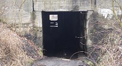 315_TZ60_P1080953_cr