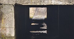 317_TZ60_P1080955_cr