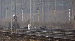 325_TZ60_P1080963_cr