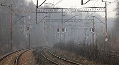 363_TZ60_P1080980_cr