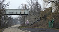 382_TZ60_P1080988_cr