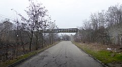 403_TZ60_P1090005_cr