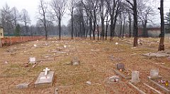 485_TZ60_P1090047_cr