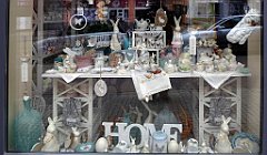 523_TZ60_P1090052_cr