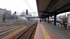 561_TZ60_P1090063_cr