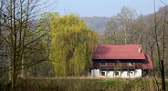 038_TZ60_P1090786_cr