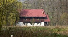 039_TZ60_P1090784_cr