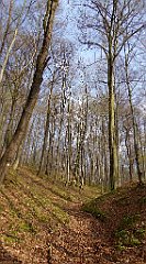 044_TZ60_P1090790_cr