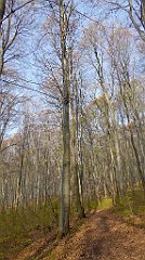 056_TZ60_P1090794_cr