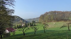 061_TZ60_P1090798_cr