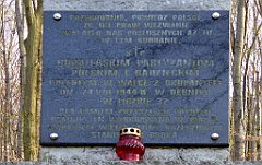 074_TZ60_P1090810_cr