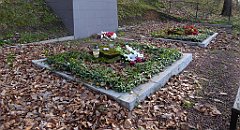 078_TZ60_P1090814_cr