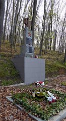 079_TZ60_P1090815_cr