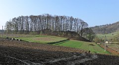 088_TZ60_P1090826_cr