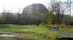 098_TZ60_P1090834_cr