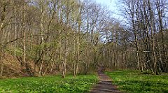 125_TZ60_P1090853_cr