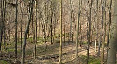 164_TZ60_P1090871_cr