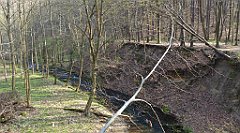 167_TZ60_P1090874_cr