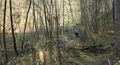 177_TZ60_P1090880_cr