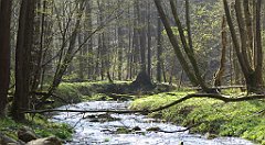 196_TZ60_P1090896_cr