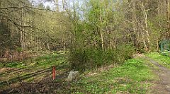 212_TZ60_P1090912_cr