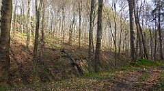 215_TZ60_P1090917_cr