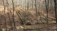 225_TZ60_P1090925_cr