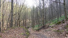 227_TZ60_P1090927_cr