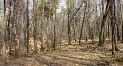 232_TZ60_P1090930_cr