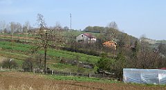 256a_TZ60_P1090945_cr