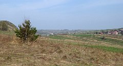 259_TZ60_P1090948_cr