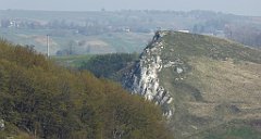 263_TZ60_P1090955_cr