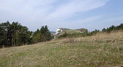 269_TZ60_P1090961_cr